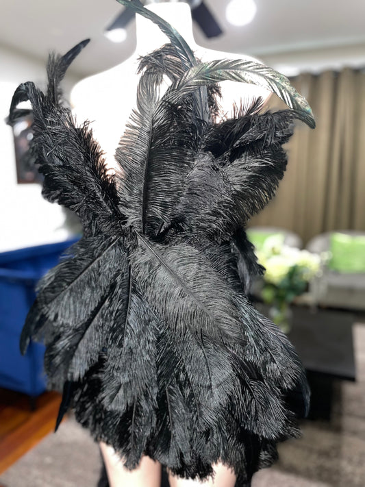 The feather dress